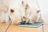 LICKIMAT® BUDDY TUFF - Available in 5 colours. Medium difficulty-LickiMat-WOOFALICIOUS.SG