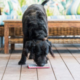 LICKIMAT® PLAYDATE TUFF edition -Perfect for Puppies and toy destroyers including cats-LickiMat-WOOFALICIOUS.SG