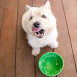 LICKIMAT® Wobble Bowl (Orange, Green, Purple and Turquoise) the bowl that never topples!-toy-WOOFALICIOUS.SG
