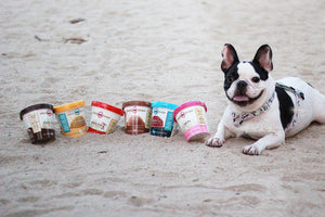 Discover Another Way to Spoil Your Pup