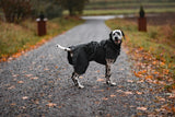 PAIKKA Visibility Raincoat Lite for Dogs DARK-RAINCOAT-WOOFALICIOUS.SG