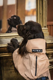 PAIKKA Visibility Raincoat Lite for Dogs Taupe-RAINCOAT-WOOFALICIOUS.SG