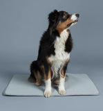 Pre-Order SS26 PAIKKA Cooling Blanket New Launch 2026-PAIKKA-WOOFALICIOUS.SG