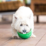 LICKIMAT® Wobble Bowl (Orange, Green, Purple and Turquoise) the bowl that never topples!-toy-WOOFALICIOUS.SG